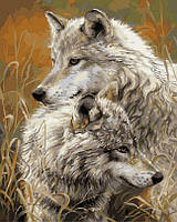Картина по номерам Волчья нежность (BRM8873) 40 х 50 см