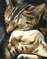 Картина по номерам Спящие котики (BRM29747) 40 х 50 см