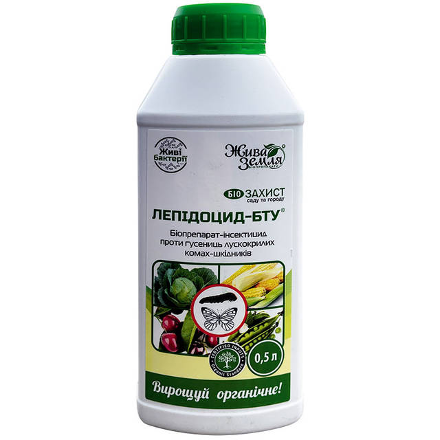 Жапондық секс туралы видео Әйелдерді алдау туралы толық метражды порнофильмдер