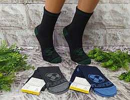 Дитячі шкарпетки р. 22 (32-34 розмір взуття) за 1 пару для хлопчика Friendly Socks 3011022-023
