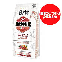 Brit Fresh (Брит Фреш) Pumpkin Puppy Large Pumpkin для щенков и юниоров крупных пород (говядина) 12 кг