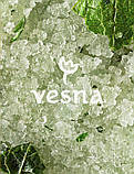 Vesna Скраб для тіла Смородина + М’ята, 300 g, фото 3