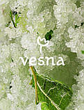Vesna Скраб для тіла Смородина + М’ята, 300 g, фото 4