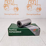 Палець поршневий ЮМЗ двигуна Д-65 50-1004042-А1, фото 3