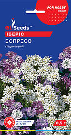 Іберис Еспресо насіння (0,5 г), For Hobby, TM GL Seeds