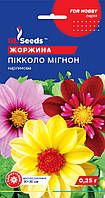 Георгина Пиколо Мигнон семена (0,25 г), For Hobby, TM GL Seeds