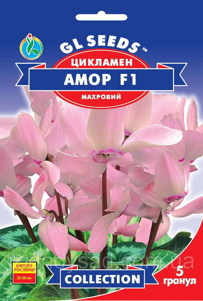 Цикламен Амор F1 насіння (5 шт.), Collection, TM GL Seeds, фото 1