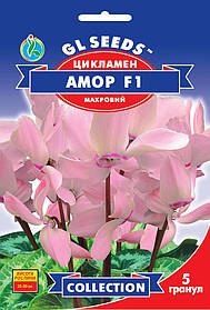 Цикламен Амор F1 насіння (5 шт.), Collection, TM GL Seeds