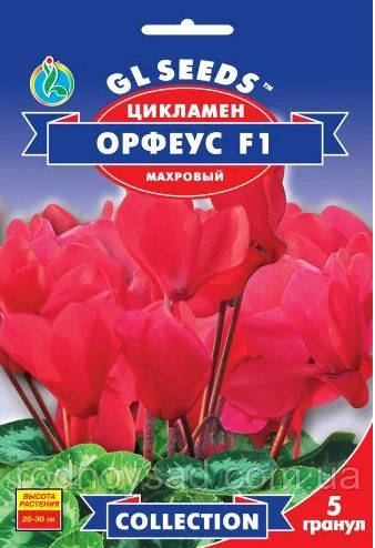 Цикламен Орфеус F1 насіння (5 шт.), Collection, TM GL Seeds