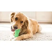 Зубная щетка для собак Dog Chew Brush , Жевательная игрушка для собак L