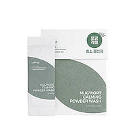 Ензимна пудра з полинню IsNtree Spot Saver Mugwort Powder Wash 1 g