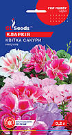 Кларкия Цветок Сакуры семена (0,2 г), For Hobby, TM GL Seeds