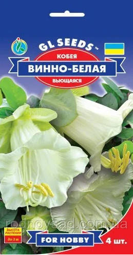 Кобея Винно-біла насіння (4 шт.), For Hobby, TM GL Seeds, фото 1