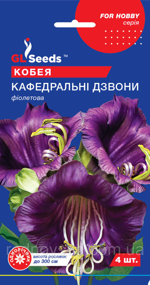 Кобея Кафедрольні Дзвони насіння (4 шт.), For Hobby, TM GL Seeds