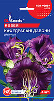 Кобея Кафедральные Колокола семена (4 шт), For Hobby, TM GL Seeds