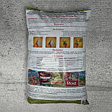 Субстрат Флорин Лимон 3 л Кіссон, фото 2