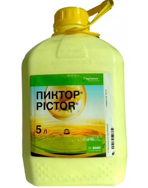 Фунгіцид Пиктор Basf 1 л, фото 2