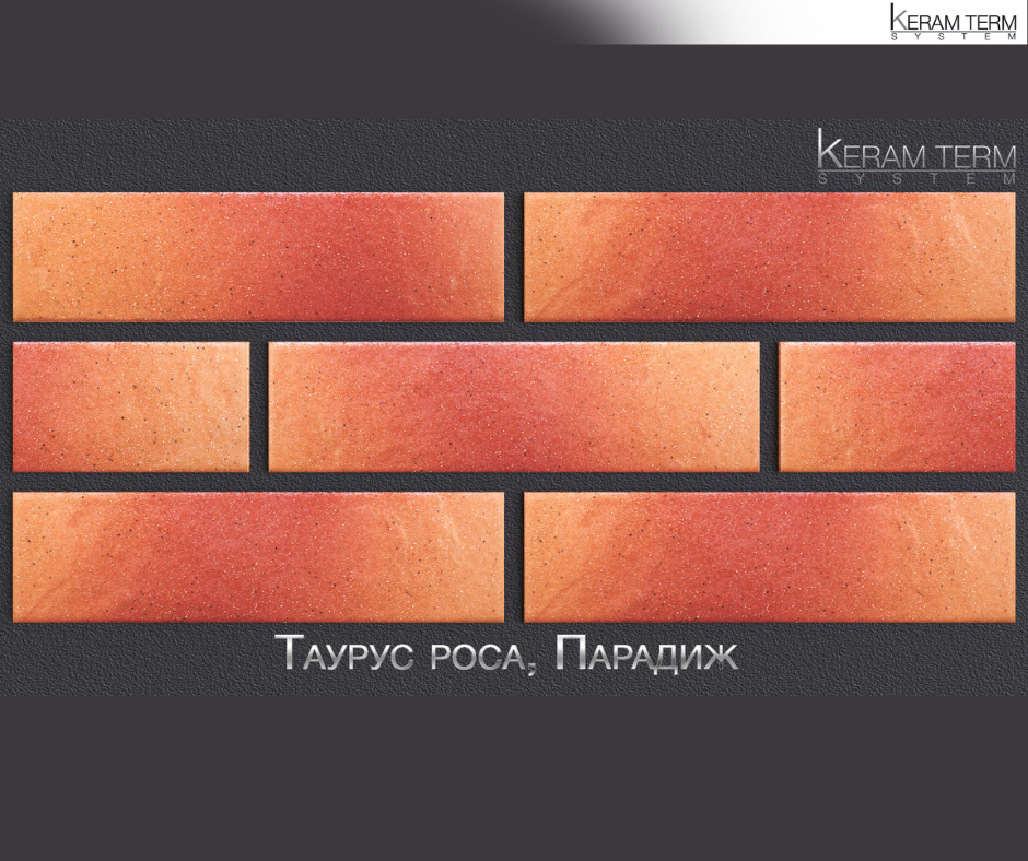 Купить Клинкерные термопанели, цена 868 грн — Prom.ua (ID#1816781033)