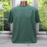 Чоловіча футболка однотонна світло-зелена великого розміру HECTOR