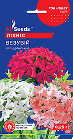 Ліхніс Везувний насіння (0,25 г), For Hobby, TM GL Seeds