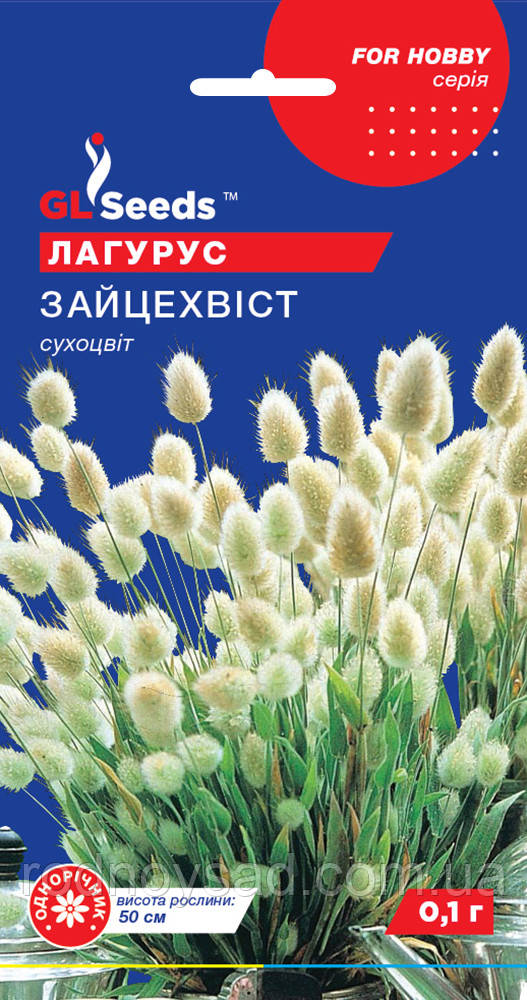 Лагурус Зайцехвіст насіння (0,1 г) заячий хвіст яйцеподібний (Lagurus ovatus) сухоцвіт, For Hobby, TM GL Seeds