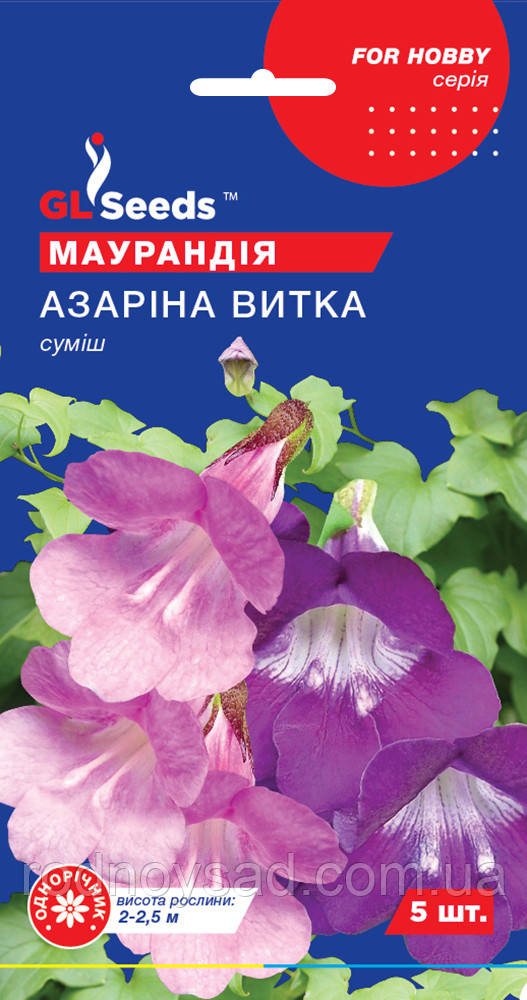 Маурандія Азарина насіння (5 шт.), For Hobby, TM GL Seeds, фото 1