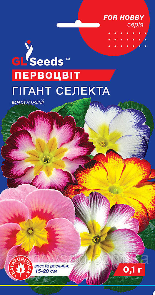 Примула (первоцвіт) Гігант Селекта насіння (0,1 г), For Hobby, TM GL Seeds