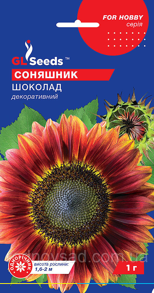 Соняшник декоративний Шоколад насіння (1 г), For Hobby, TM GL Seeds, фото 1