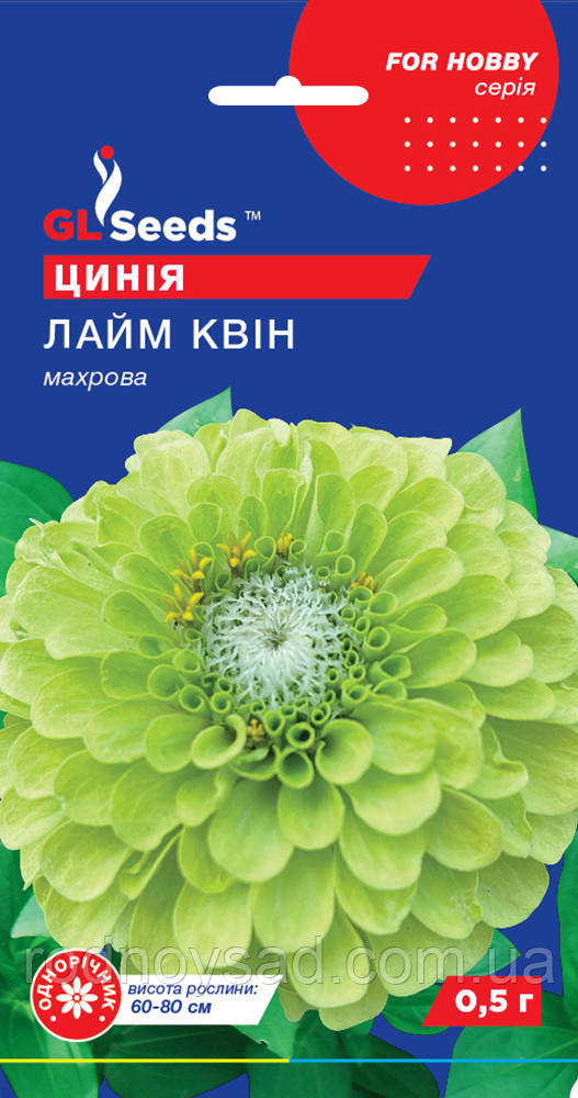 Цинія Лайм Квін насіння (0,5 г) майори або майорці, For Hobby, TM GL Seeds