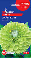 Цинния Лайм Квин семена (0,5 г), For Hobby, TM GL Seeds