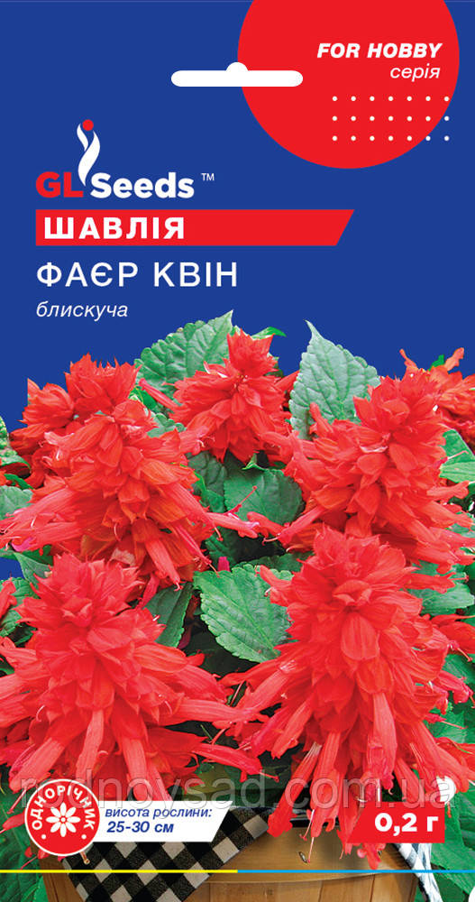 Шавлія Фаєр Квін насіння (0,2 г), For Hobby, TM GL Seeds, фото 1