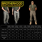 Штани тактичні військові для ЗСУ Brotherhood UTP 2.0 ріп-стоп мультикам, фото 10