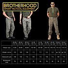 Штани тактичні військові для ЗСУ Brotherhood UTP 2.0 ріп-стоп олива, фото 9