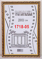 Фоторамка 21х30 1718