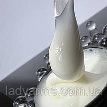 Однофазний гель №05 25гр, фото 4