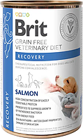 Влажный корм для собак и кошек для восстановление после болезней Brit VetDiets Recovery 400 г