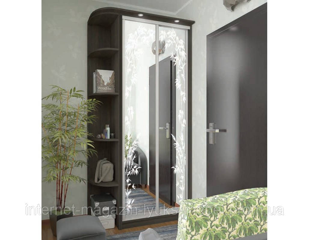 Шкаф купе Стандарт 900/450/2400