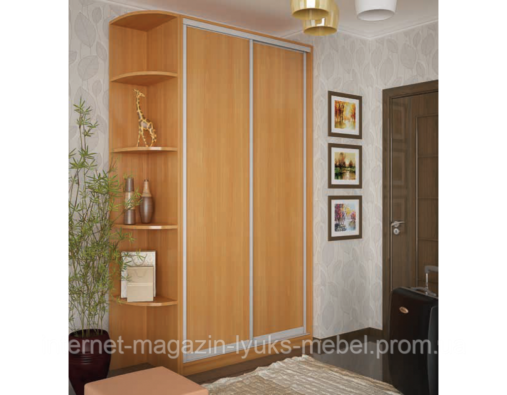 Шкаф купе Стандарт 1200/600/2400