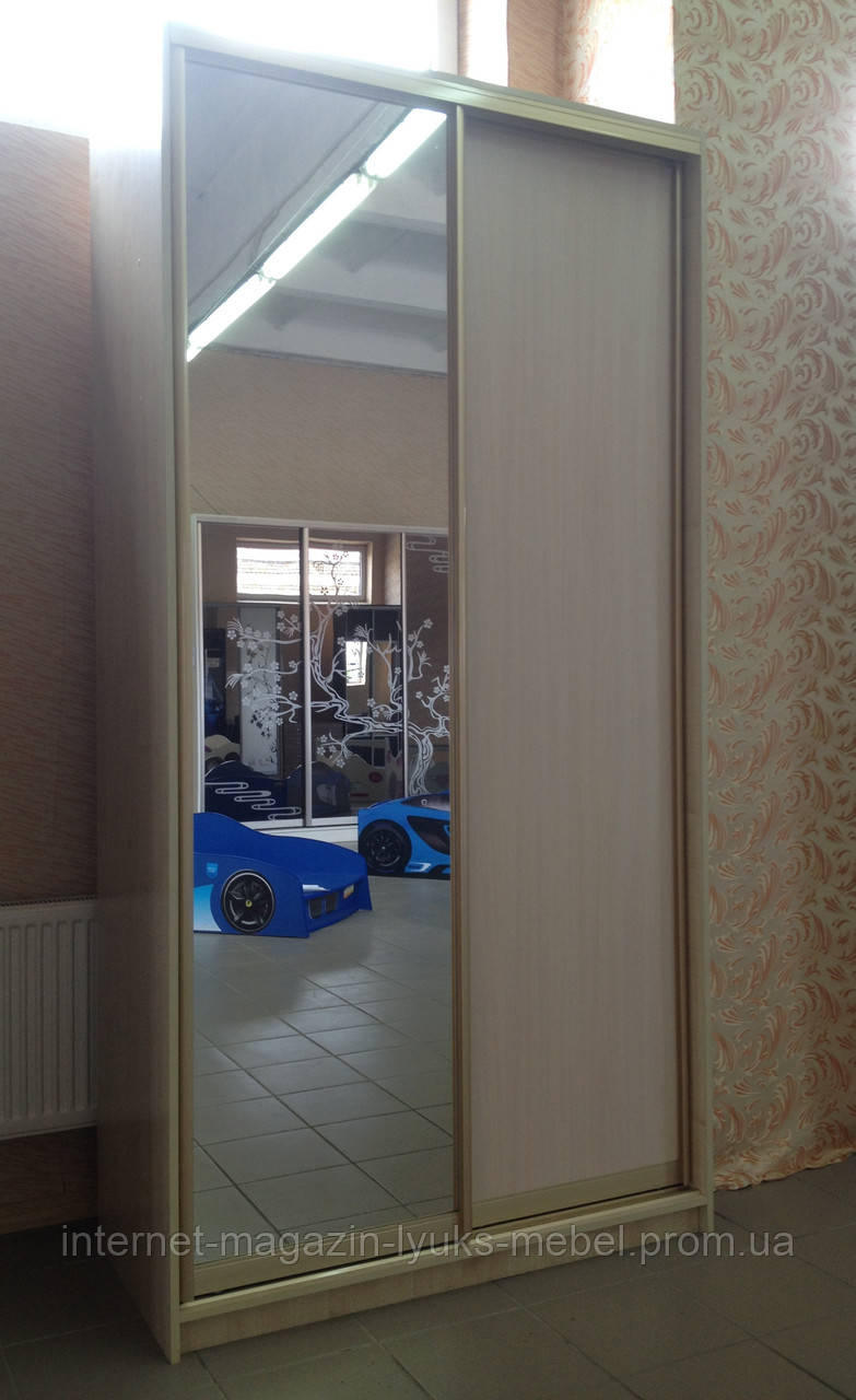 Шкаф купе Стандарт 1200/600/2400