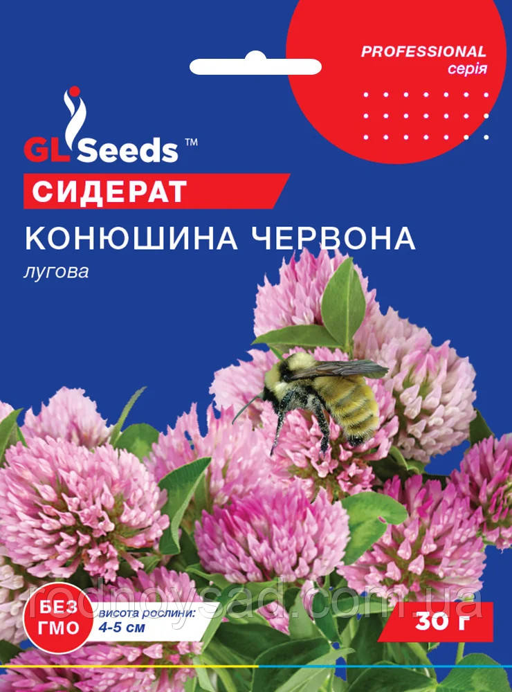 Конюшина Червона насіння (30 г), Professional, TM GL Seeds