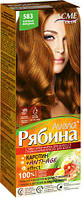 Краска для волос Acme color Рябина Avena Миндаль 583