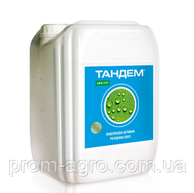 Допоміжні речовини