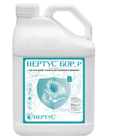 Нертус Бор Нертус (5 л), фото 1