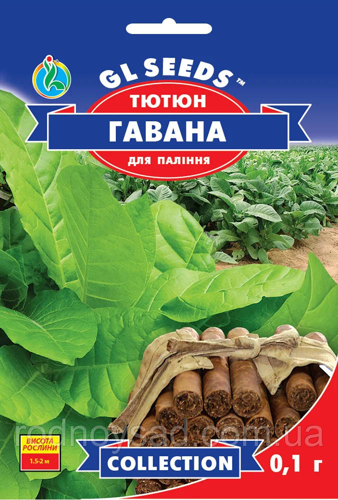 Тютюн кубинський Гавана насіння (0,1 г), Collection, TM GL Seeds