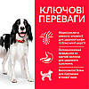 Hills (Хіллс) Science Plan Adult Advanced Fitness Medium корм для собак середніх порід з куркою, 14 кг, фото 3