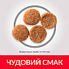 Hills (Хіллс) Science Plan Adult Advanced Fitness Medium корм для собак середніх порід з куркою, 14 кг, фото 4