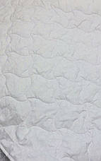 Ковдра літня полуторна бавовна холофайбер 200г/м2 150*210 (3205), фото 2