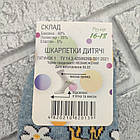 Шкарпетки дитячі середні весна/осінь р.16-18 малюнок асорті ДОБРА ПАРА 30032281, фото 5