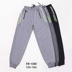 Спортивні штани для хлопчика оптом, 134-164 см, арт. FM-108