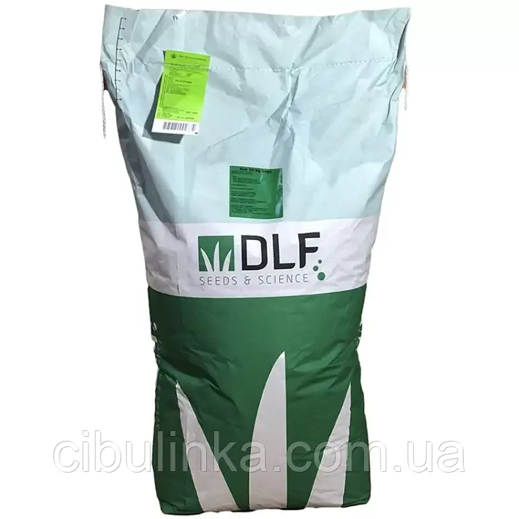 Газонна трава Спортивна Плейграунд / Playground DLF  на вагу, фото 1